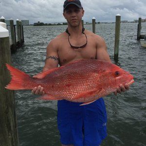 Meet your Posher, Daniel